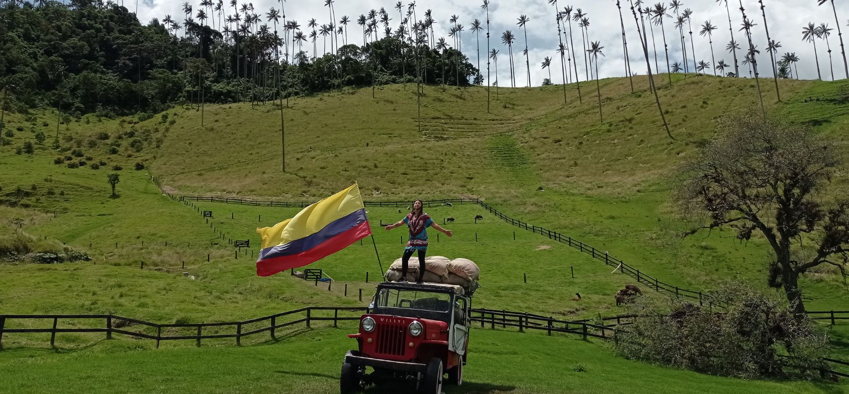 Viajera solitaria sobre un jeep en el valle de Cocora en Colombia